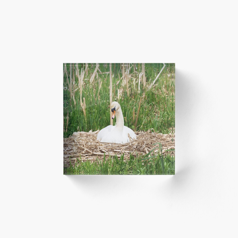 Item preview, Acrylic Block designed and sold by RJBPhotoDesign.