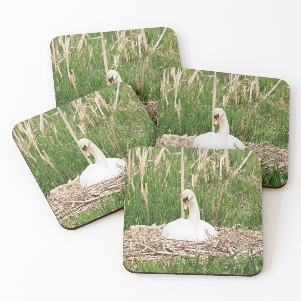 Item preview, Coasters (Set of 4) designed and sold by RJBPhotoDesign.