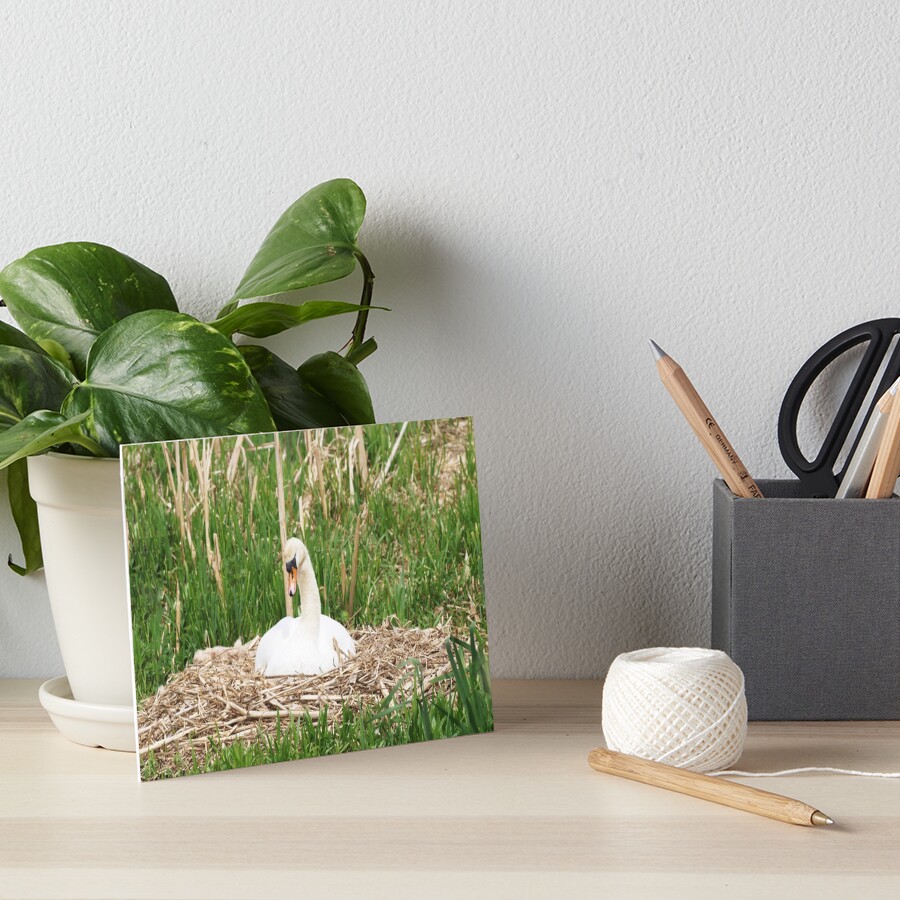 Item preview, Art Board Print designed and sold by RJBPhotoDesign.