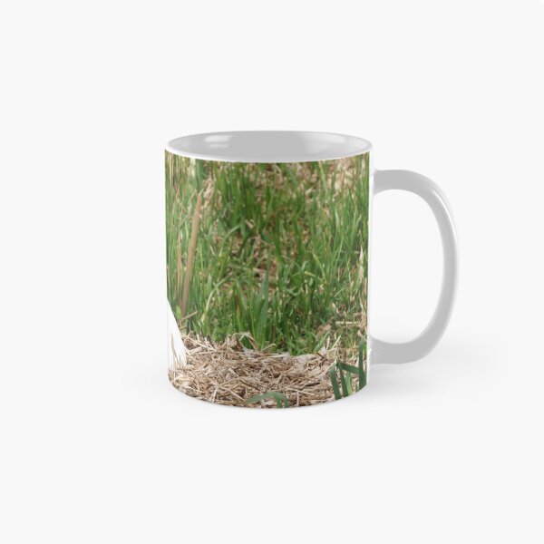Item preview, Nesting Swan designed and sold by RJBPhotoDesign.