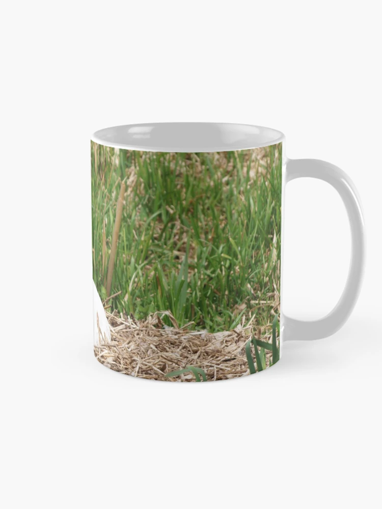 Thumbnail 3 of 6, Coffee Mug, Nesting Swan designed and sold by RJBPhotoDesign.