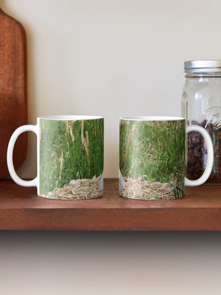 Thumbnail 2 of 6, Coffee Mug, Nesting Swan designed and sold by RJBPhotoDesign.