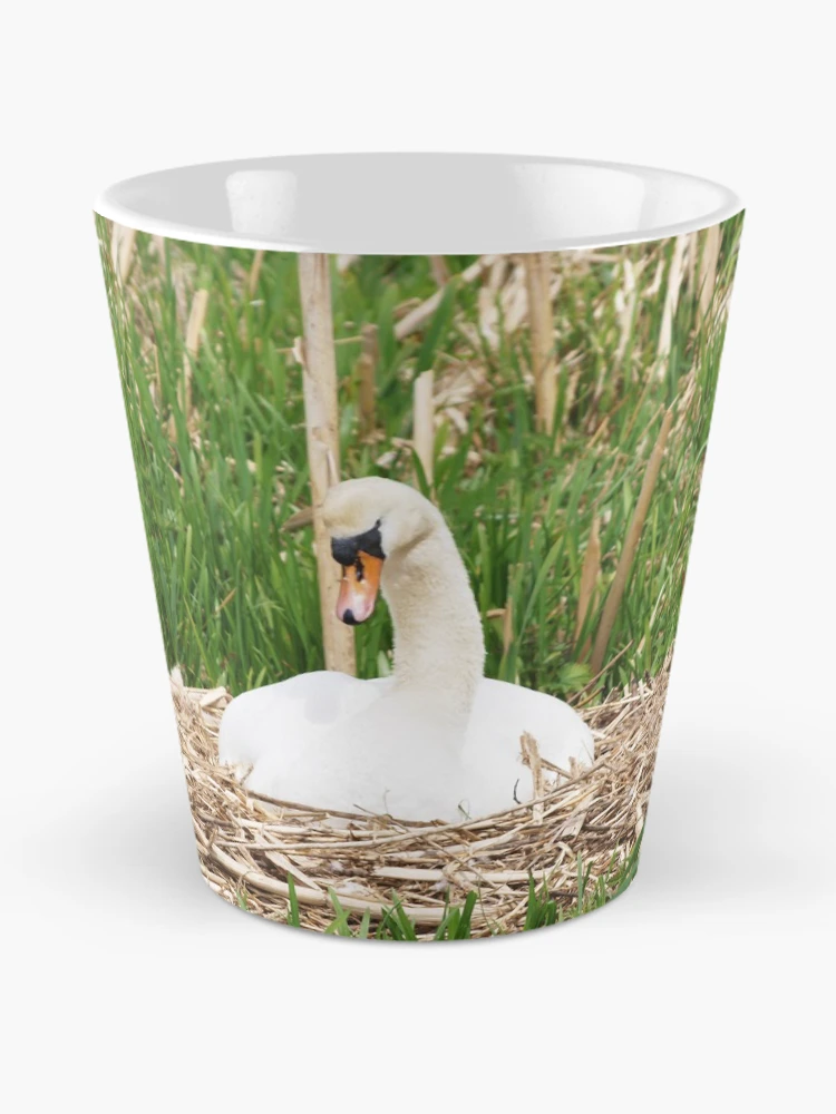 Thumbnail 2 of 4, Coffee Mug, Nesting Swan designed and sold by RJBPhotoDesign.