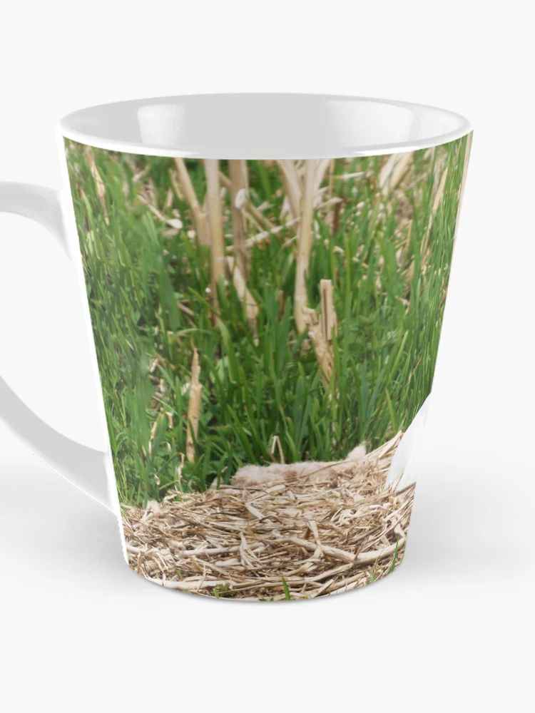Thumbnail 3 of 4, Coffee Mug, Nesting Swan designed and sold by RJBPhotoDesign.