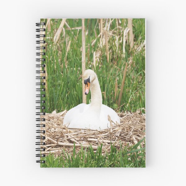 Item preview, Cisne de anidación designed and sold by RJBPhotoDesign.