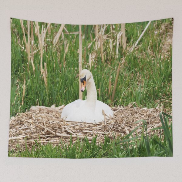 Tapestry