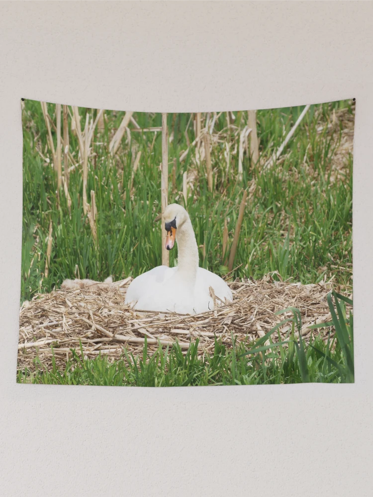 Thumbnail 2 of 3, Tapestry, Nesting Swan designed and sold by RJBPhotoDesign.