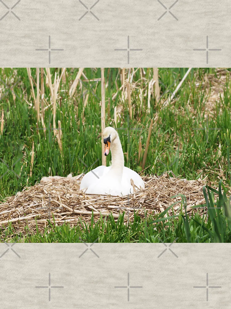 Thumbnail 6 of 6, Zipped Hoodie, Nesting Swan designed and sold by RJBPhotoDesign.