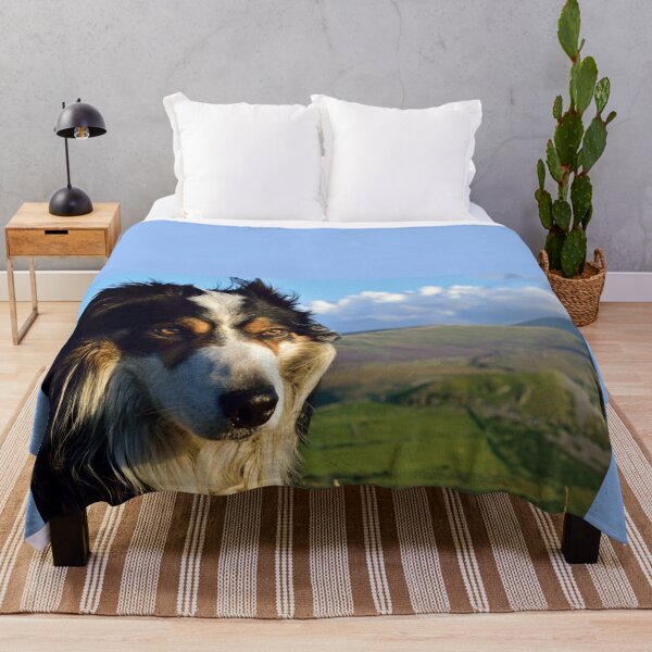Item preview, Laddie looks ahead. designed and sold by Michael Haslam.