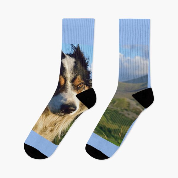 Item preview, Laddie looks ahead.  designed and sold by Michael Haslam.