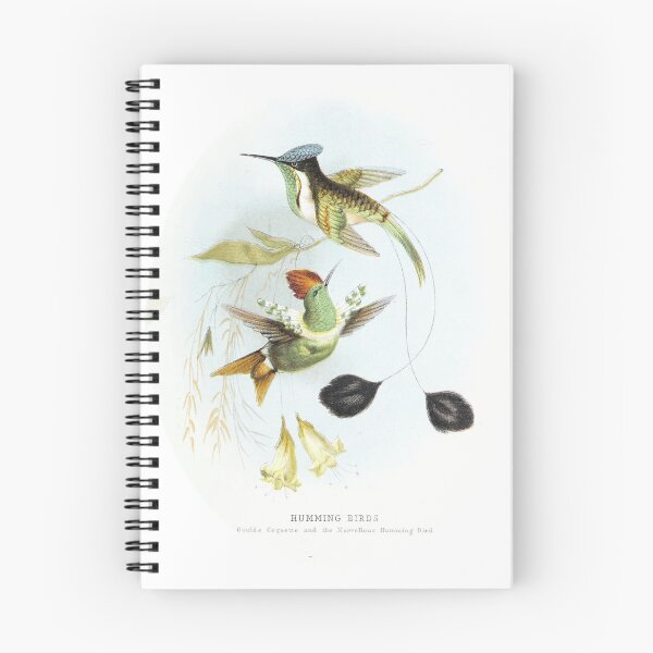 Item preview, Humming birds designed and sold by ArboreSciences.