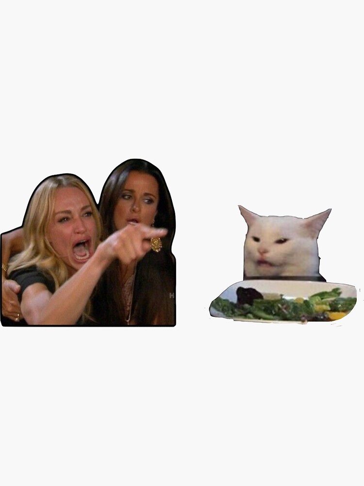 Salad Cat meme 3 Sticker, Smudge the Cat, Woman Yelling at Cat