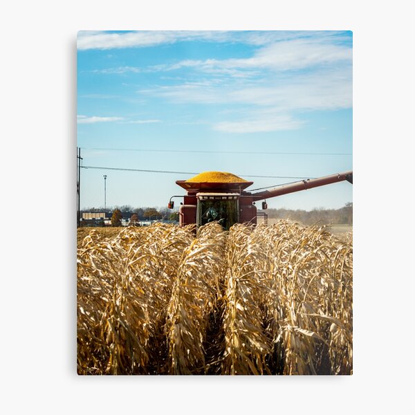 Over the Top Metal Print