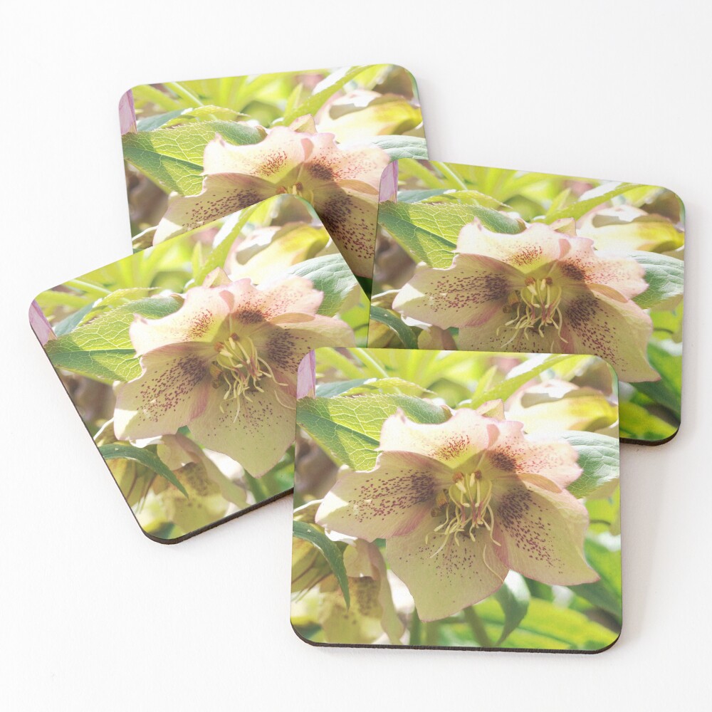 Item preview, Coasters (Set of 4) designed and sold by RJBPhotoDesign.