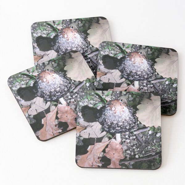 Item preview, Forest Mushroom by Courtney Hatcher, Nature Photography designed and sold by cghatcherart.