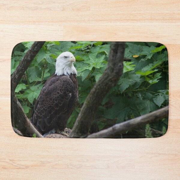 Item preview, Bald Eagle on the Alert designed and sold by Allen Penton.