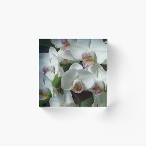 Item preview, White Orchid designed and sold by ChadKroll.