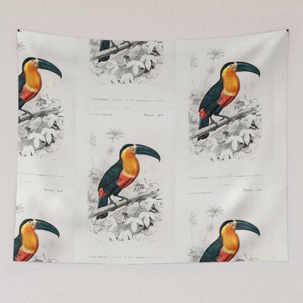 Artikelvorschau, Toucan vintage illustration entworfen und verkauft von Vintage Designs +.
