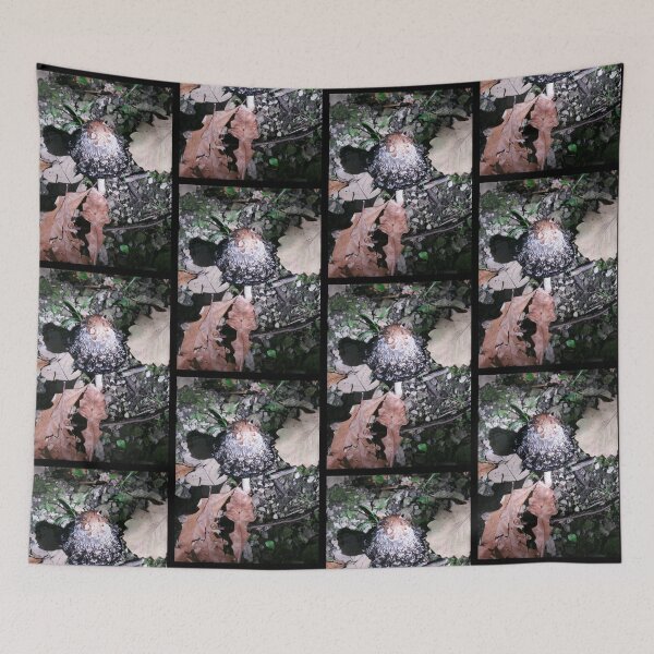 Item preview, Forest Mushroom by Courtney Hatcher, Nature Photography designed and sold by cghatcherart.