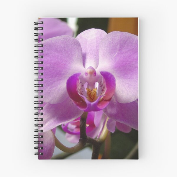 Item preview, Orquídea púrpura designed and sold by ChadKroll.
