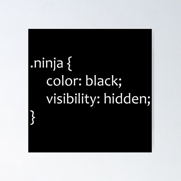 Artikel-Vorschau von CSS Ninja, designt und verkauft von Mobius Tees.