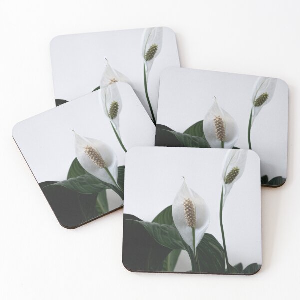Item preview, Spathiphyllum, Spath, Peace lilies designed and sold by Cedric Urbany.