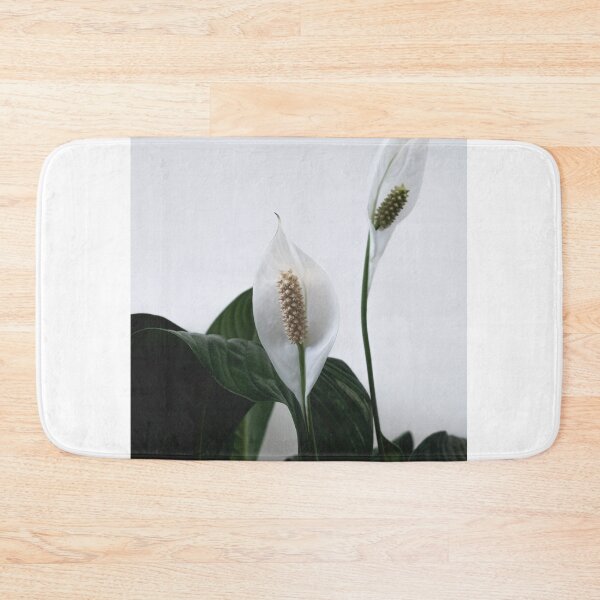 Item preview, Spathiphyllum, Spath, Peace lilies designed and sold by Cedric Urbany.
