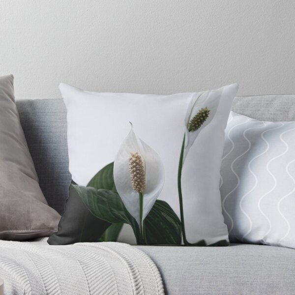 Item preview, Spathiphyllum, Spath, Peace lilies designed and sold by Cedric Urbany.