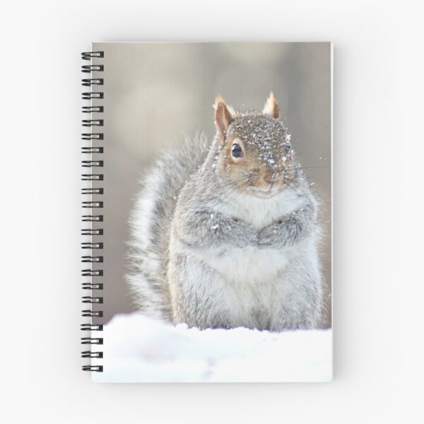Item preview, Cute squirrel  in the snow designed and sold by Linda Crockett.