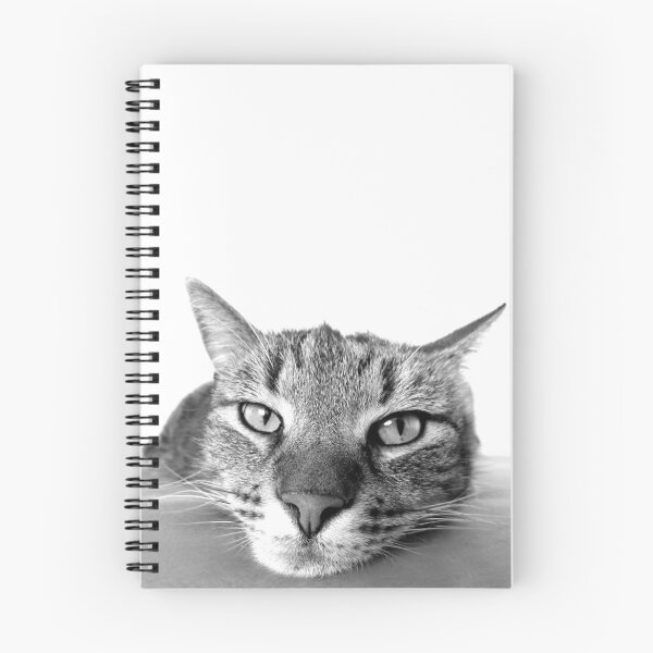 Item preview, Cat ! designed and sold by Mixmux.