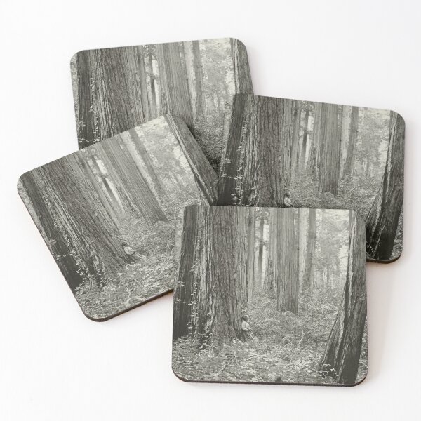 Item preview, Big Basin Redwoods Forest by Andrew P. Hill, 1899 designed and sold by Vintage Wall Art.
