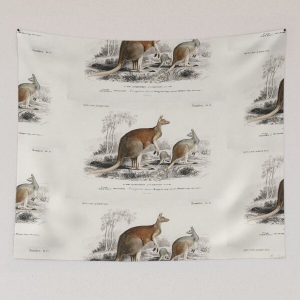Artikelvorschau, Kangaroos vintage illustration entworfen und verkauft von Vintage Designs +.
