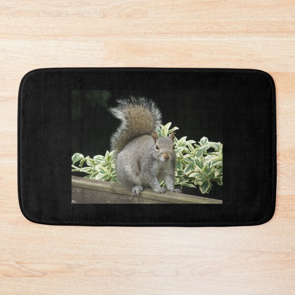 Item preview, Squirrel on a Fence with Ivy Photograph designed and sold by naturegallery.
