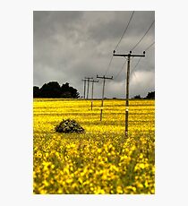 electric rape Photographic Print