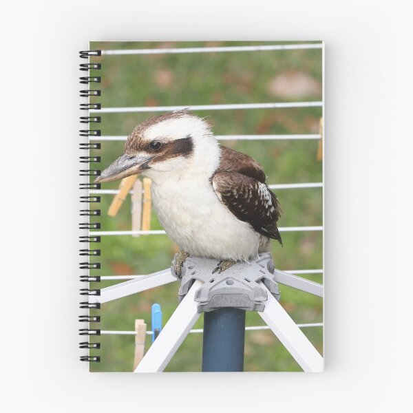 Item preview, Kookaburra on the clothsline designed and sold by Doug Cliff.
