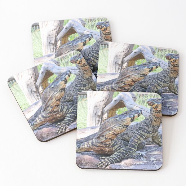 Item preview, Two goannas on a rock designed and sold by Doug Cliff.