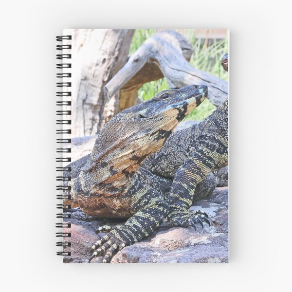 Item preview, Two goannas on a rock designed and sold by Doug Cliff.