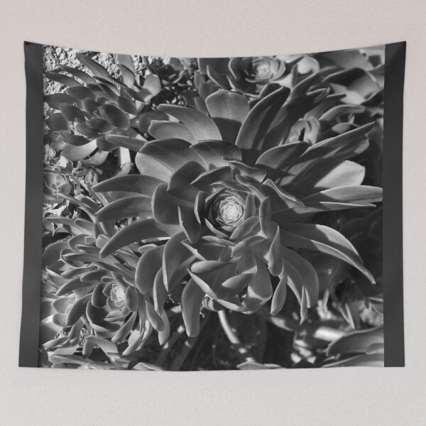 Item preview, Echeverium designed and sold by Rodney Johnson.