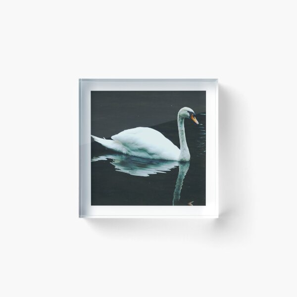 Item preview, Mysterious swan designed and sold by Clareyjo.