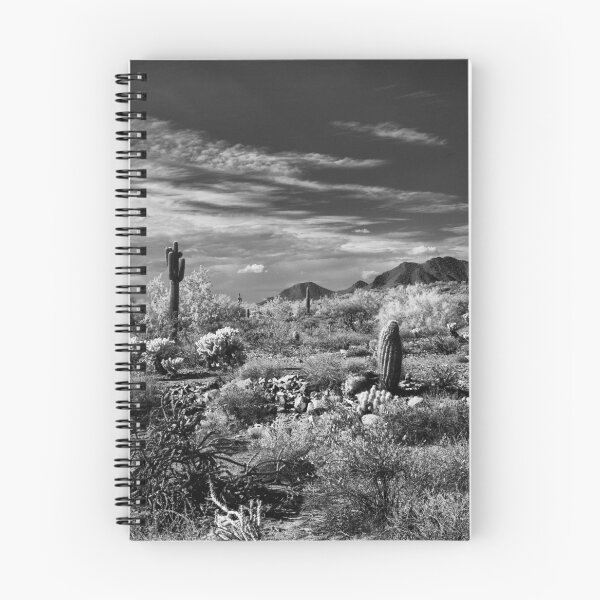 Item preview, McDowell Sonoran Preserve, Scotsdale Arizona designed and sold by Rodney Johnson.