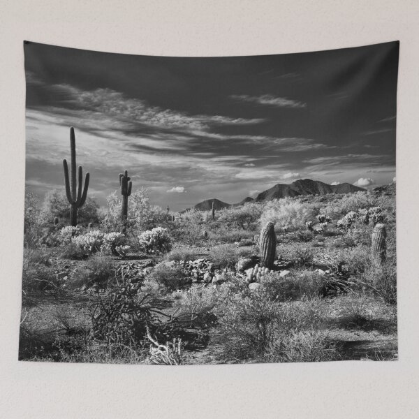 Item preview, McDowell Sonoran Preserve, Scotsdale Arizona designed and sold by Rodney Johnson.