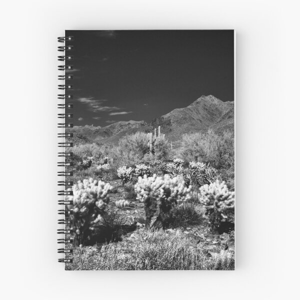 Item preview, McDowell Sonoran Preserve, Scotsdale Arizona designed and sold by Rodney Johnson.