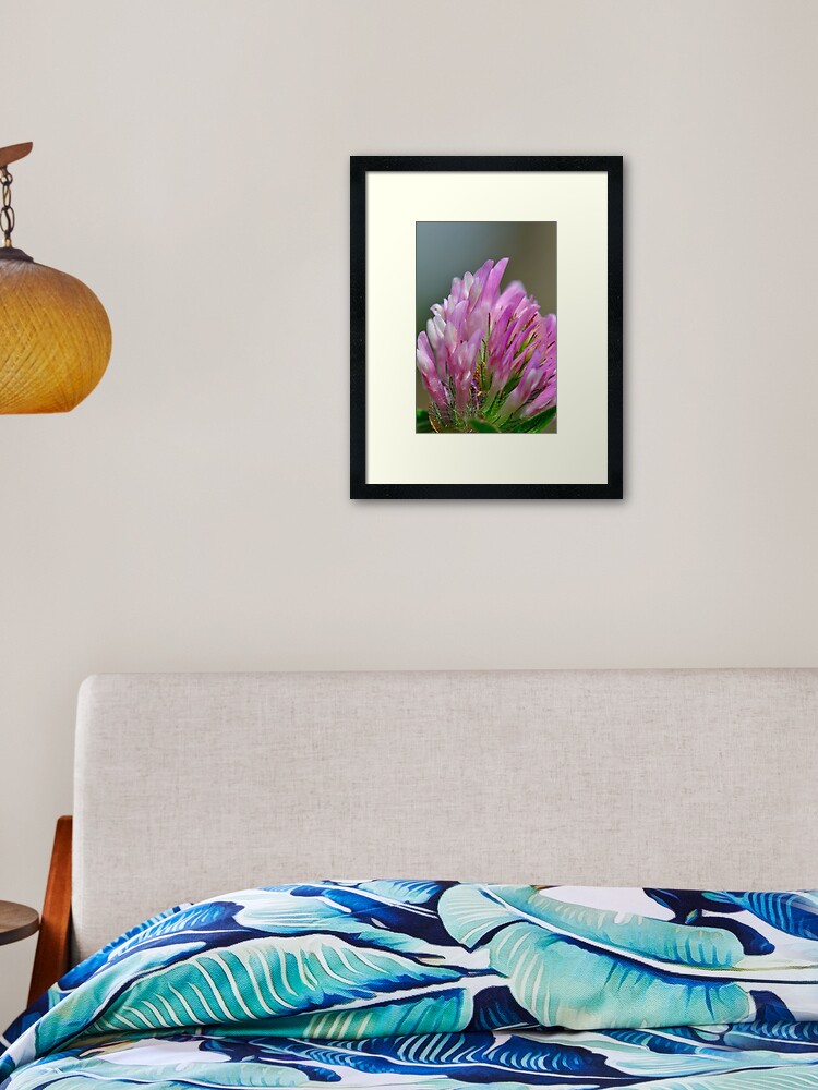 Thumbnail 1 of 7, Framed Art Print, Untitled designed and sold by Paul Eden.