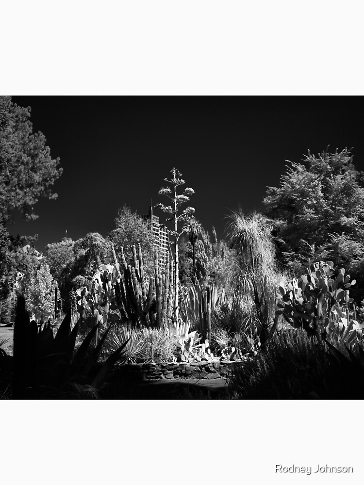 Cactus Garden, Capitol Park, Sacramento California by rodneyj46