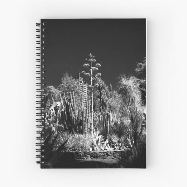 Item preview, Cactus Garden, Capitol Park, Sacramento California designed and sold by Rodney Johnson.