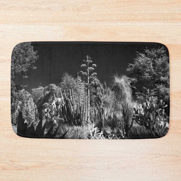 Item preview, Cactus Garden, Capitol Park, Sacramento California designed and sold by Rodney Johnson.