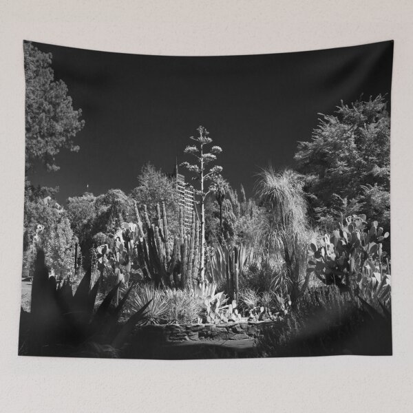 Item preview, Cactus Garden, Capitol Park, Sacramento California designed and sold by Rodney Johnson.