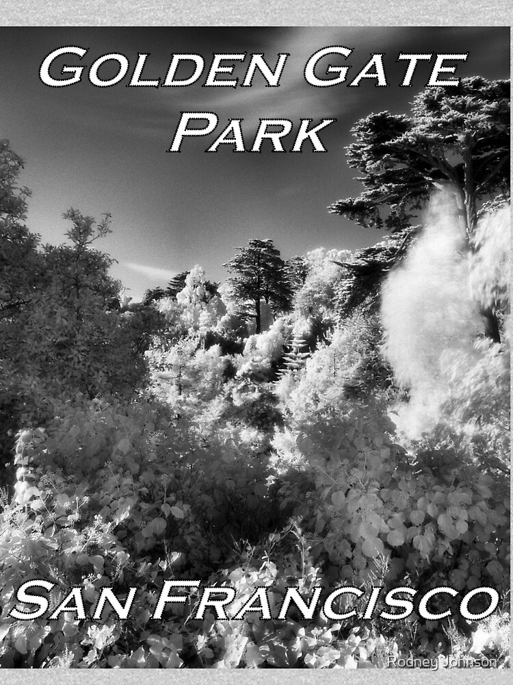 Strybing Arboretum, Golden Gate Park, San Francisco by rodneyj46