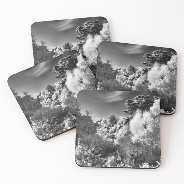 Item preview, Strybing Arboretum, Golden Gate Park, San Francisco designed and sold by Rodney Johnson.
