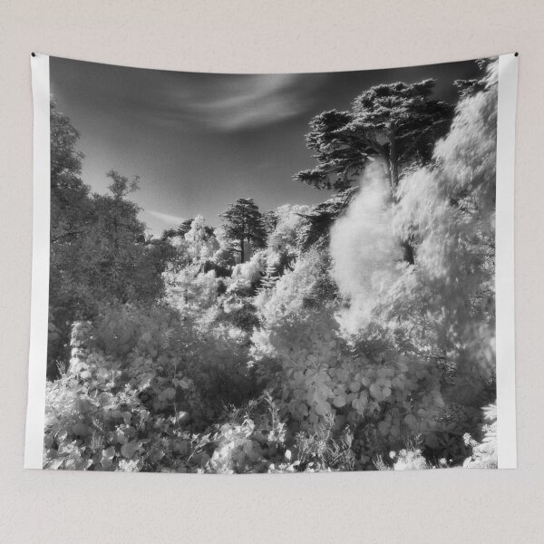 Item preview, Strybing Arboretum, Golden Gate Park, San Francisco designed and sold by Rodney Johnson.